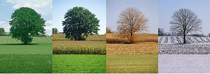 《超级马里奥RPG》设计师分享原版弃用草稿图